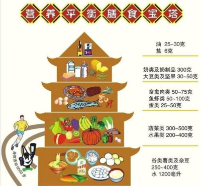 营养与运动 为身体“充电”的黄金法则