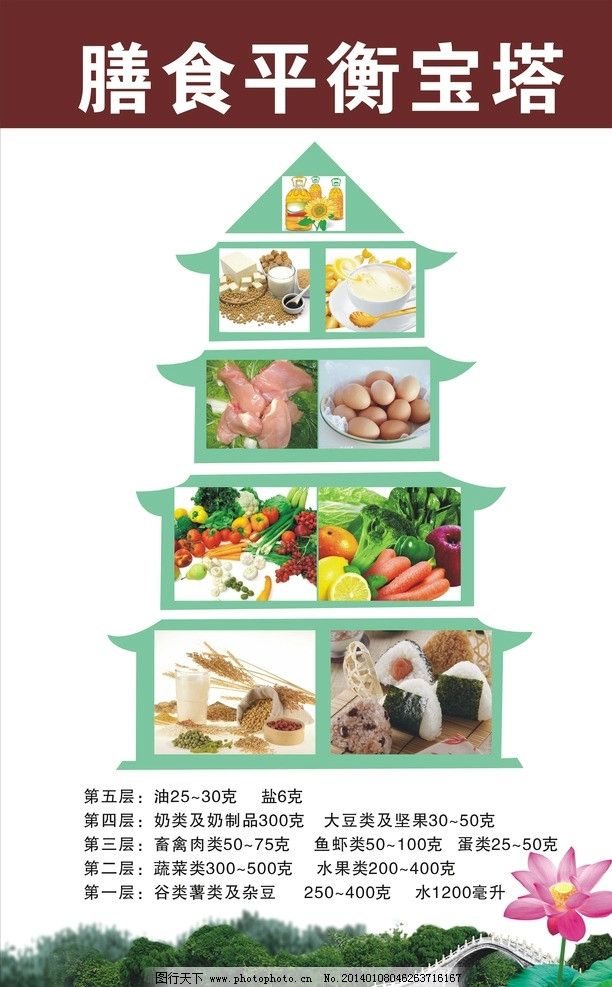 膳食平衡宝塔 可视化指南，引领健康饮食新风尚